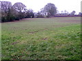 Grass field, Bowerchalke