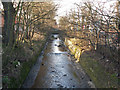 SP0483 : The Bourn Brook, upstream of Bournbrook Road, Bournbrook by Phil Champion
