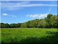 Pasture and woodland, Hurstbourne Tarrant