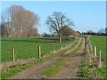 SU3798 : Track and farmland, Hinton Waldrist by Andrew Smith