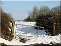 Half opened gate north of Balcombe