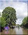 Shropshire Union Canal at Barbridge, Cheshire