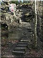 NZ1762 : Steps on east side of Blaydon Burn valley by Andrew Curtis