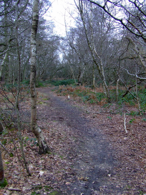 Kidney Wood © Thomas Nugent cc-by-sa/2.0 :: Geograph Britain and Ireland