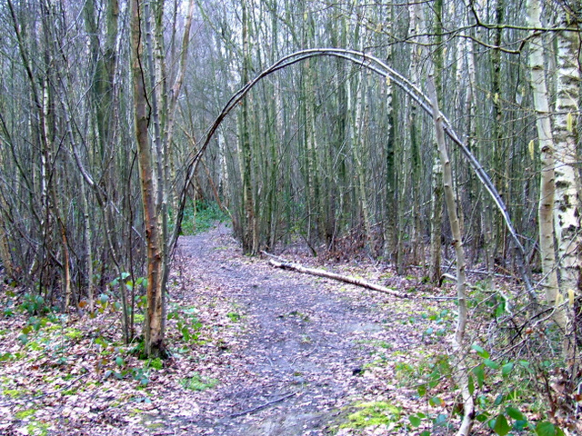 Kidney Wood © Thomas Nugent :: Geograph Britain and Ireland