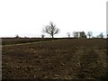 Fields near to Upper Broughton