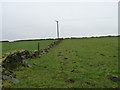 SE1610 : Telegraph pole on Haw Cliff hillside by Christine Johnstone