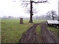 Trig point at Lane Ends