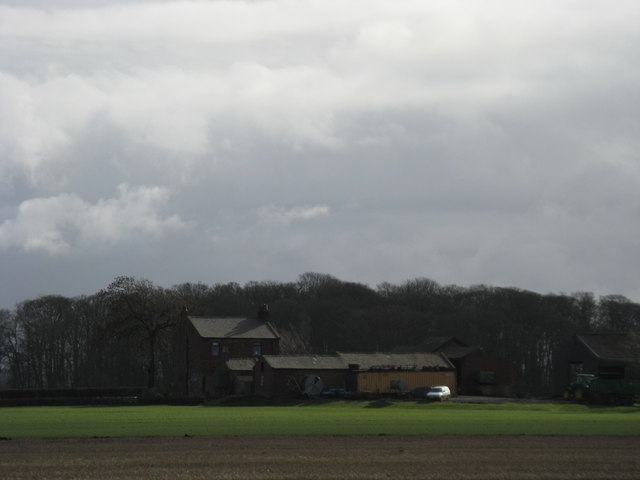 Whams Farm from Long Meanygate, Back Drain