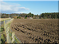 Ploughed Field near Househill