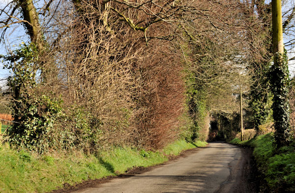 The Ballynahatty Road near Edenderry (6)