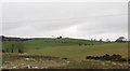 Farmland on drumlins west of the A24 at Carryduff