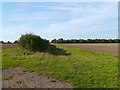 Farmland, Lewknor