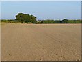 Farmland, Lewknor