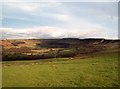 Footpath Between Moorside and Far Coombes