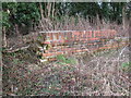 Derelict lock, Wilts & Berks Canal (North Wilts Branch), Moredon