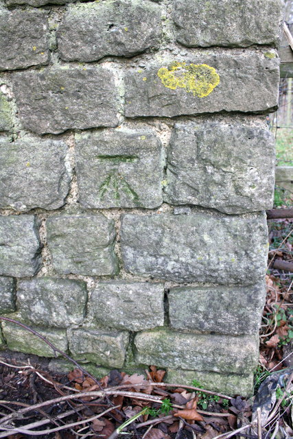 Benchmark on wall of Shillingford Road