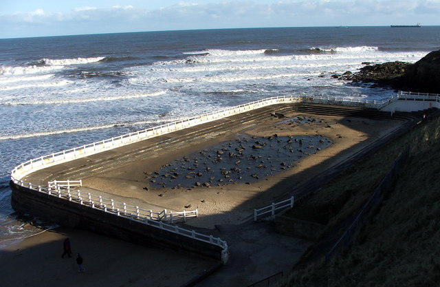 tynemouth pool