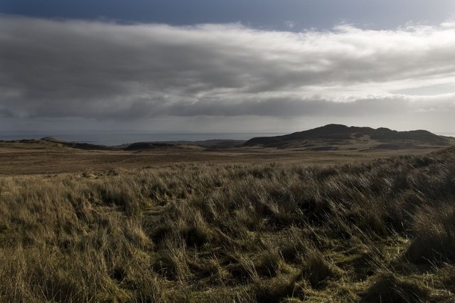 Looking south from eastern flanks of Beinn Sholum, Islay