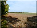 Farmland, Lewknor