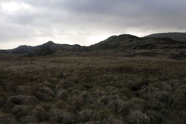 Grassland southwest of Na Leacan, Islay