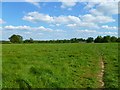 Pasture, Holmer Green, Little Missenden