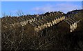 Terraced houses above Blaydon Burn valley