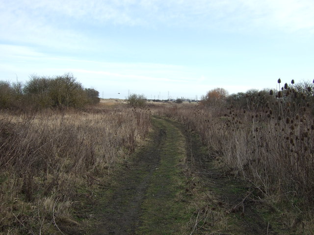 Track towards Saltholme
