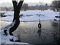 River Biam on the Aylestone Meadows