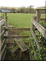 Path at Riddlecombe