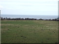 Farmland towards the sea