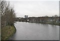 The River Lagan on the upstream side of the Ormeau Road Bridge