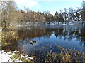 Loch Imrich, Newtonmore