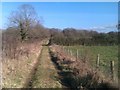 Footpath on farm track near Michelmersh