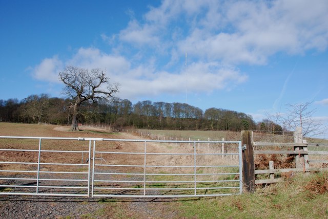View from Hints Lane to Hanging Wood