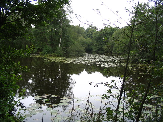 Hollybush gravel pit