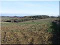 Farmland at Castle Barn Farm, Turkdean