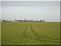 Field near Sheldwich