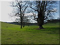 SO7198 : Parkland - Apley Park by Richard Law