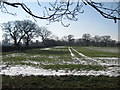 Fields South of Balsall Common