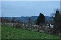 SS9415 : Mid Devon : Grassy View at Nibbs by Lewis Clarke