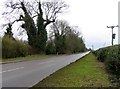 Cottesmore Road at Burley towards Oakham