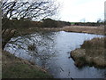 Pond off the Haswell to Hart railway path