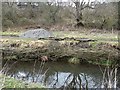 Bank protection, Holywell Dene