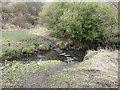 Stepping stones in Holywell Dene