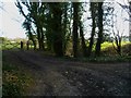 Footpath and byway junction south of Offham