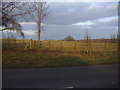 Fields by Horsham Road north of Alfold