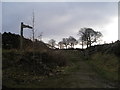 The Pennine Bridleway northeast of Holme Chapel