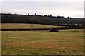 SP4804 : Field by the Oxford Green Belt Way by Steve Daniels