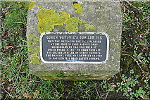 SU9782 : Queen Victoria's Jubilee Oak by Graham Horn